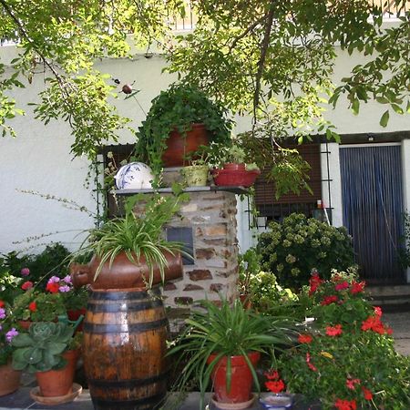 Apartamentos Y Casas Rurales Las Terrazas De La Alpujarra Бубіон Екстер'єр фото